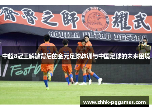 中超8冠王解散背后的金元足球教训与中国足球的未来困境 中超8冠王解散背后的金元足球教训与中国足球的未来困境