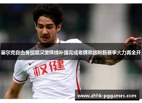 塞尔克自由身加盟汉堡锋线补强完成老牌劲旅盼新赛季火力再全开 塞尔克自由身加盟汉堡锋线补强完成老牌劲旅盼新赛季火力再全开